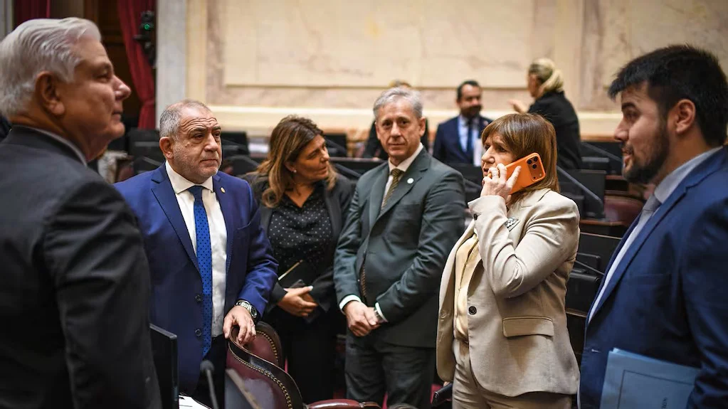senadores-libertarios-y-aliados-patricia-bullrich