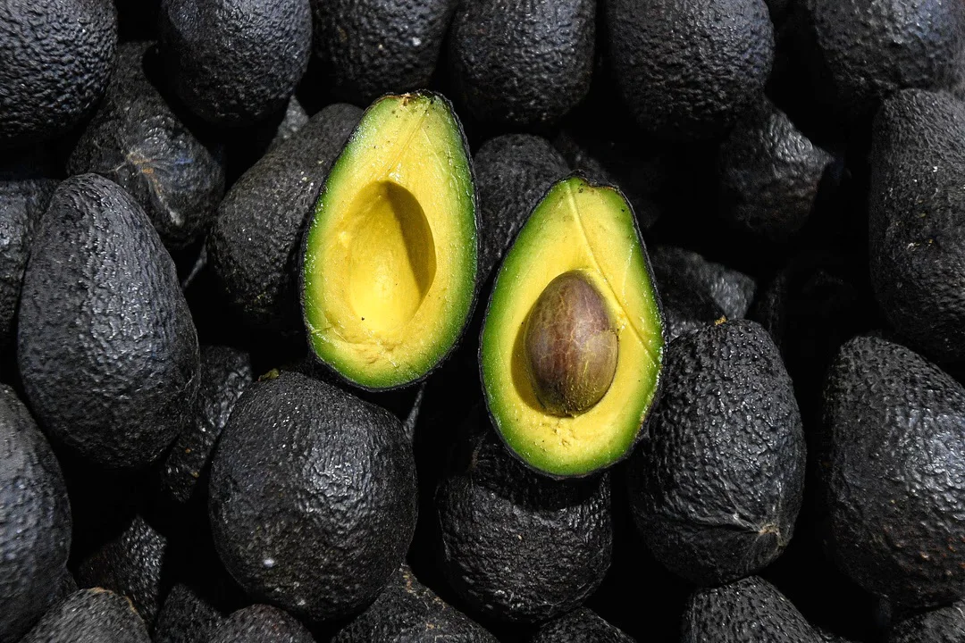 Palta